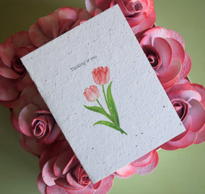 Thinking of You - Just Because, Sympathy Seed Paper Card