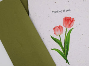 Thinking of You - Just Because, Sympathy Seed Paper Card